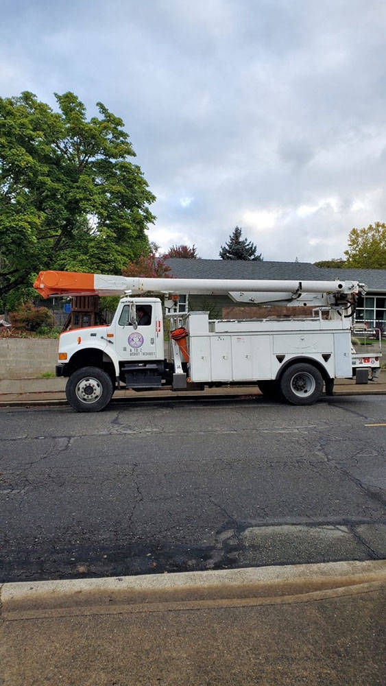 Tree Service Grants Pass Oregon | A-to-Z Tree Service